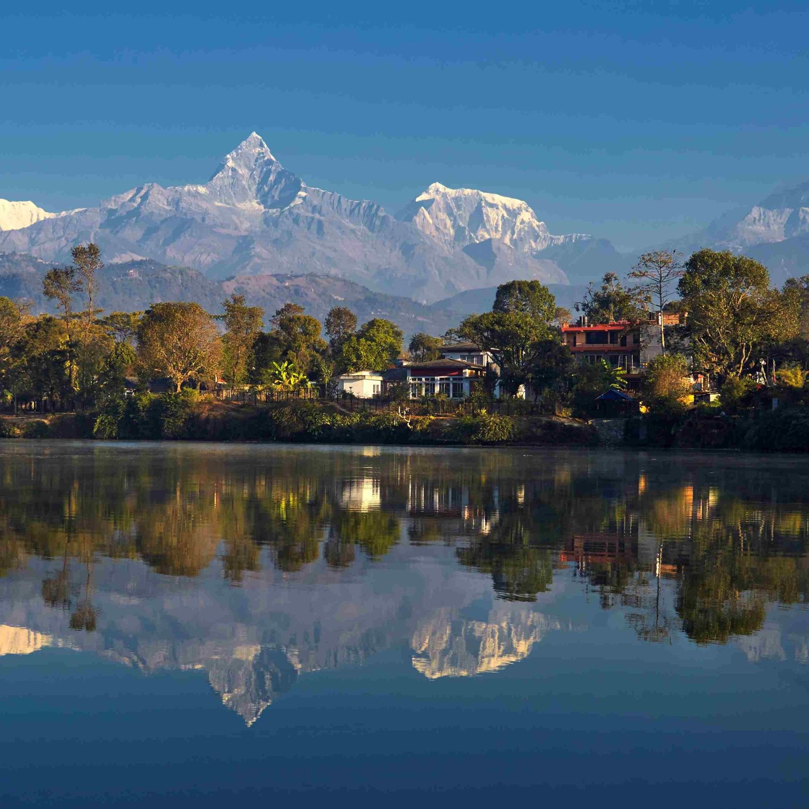 Pokhara_himalaya on the lap of Fewa Lake